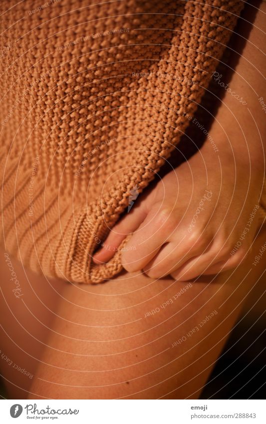 Sweater I Feminine Young woman Youth (Young adults) Skin Legs 1 Human being 18 - 30 years Adults Fashion Cuddly Warmth Eroticism Delightful Colour photo