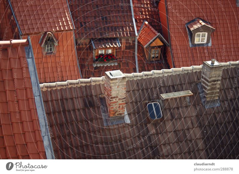 BirdPerspective quedlinburg Germany Europe Small Town Old town House (Residential Structure) Detached house Building Architecture Window Roof Chimney