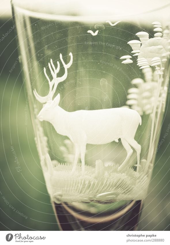 glassmakers Glass Drinking Agriculture Forestry Kitsch herbal schnapps Liqueur glass Alcoholism empty glass Deer Gravure Sixties The fifties Champagne glass