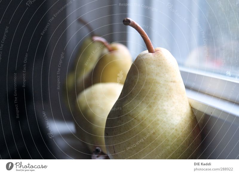 disaster food Food Fruit Pear Sunlight Window Window board Yellow Colour photo Interior shot Close-up Copy Space left Day Light Shadow Central perspective