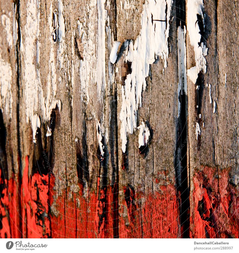 white & red Art Wood Old Red White Colour Destruction Varnish Dry Breakage Flake off Painted Painting (action, work) Wood fiber Structures and shapes Line