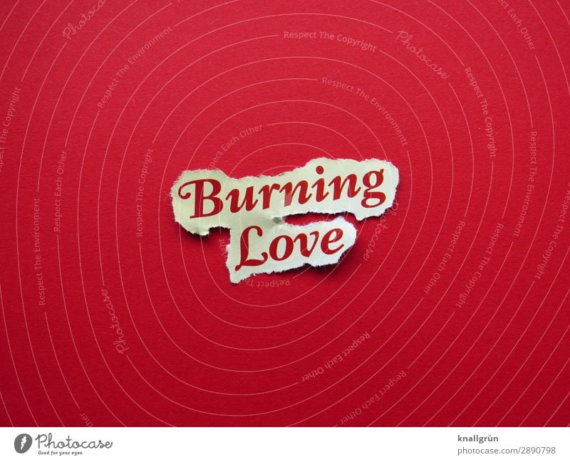 burning love Characters Signs and labeling Communicate Love Hot Red Turquoise Emotions Euphoria Sympathy Together Infatuation Desire Lust Sex Relationship