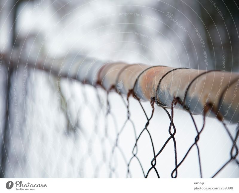 Fence I Environment Nature Landscape Winter Snow Metal Cold Blue Wire netting Wire netting fence Colour photo Subdued colour Exterior shot Close-up Detail