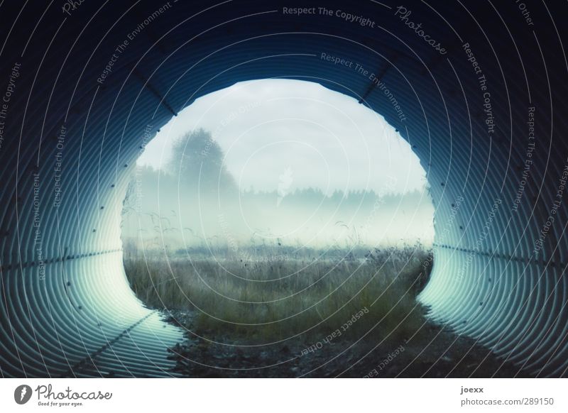 uncharted territory Landscape Autumn Fog Meadow Deserted Tunnel Cold Blue Gray Green Black Calm Hope Idyll Target Corrugated iron wall Passage Pipe Colour photo