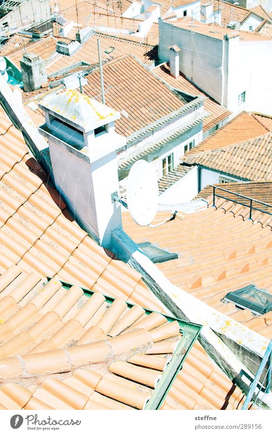 deliberate Lisbon Portugal Old town Roof Eaves Chimney Antenna Satellite dish Town Brick Mediterranean Red Summer vacation Colour photo