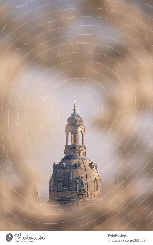 #A# Dresden Flower IV Environment Beautiful weather Esthetic Frauenkirche Saxony Germany Historic Historic Buildings Church Domed roof Cherry blossom Blossoming