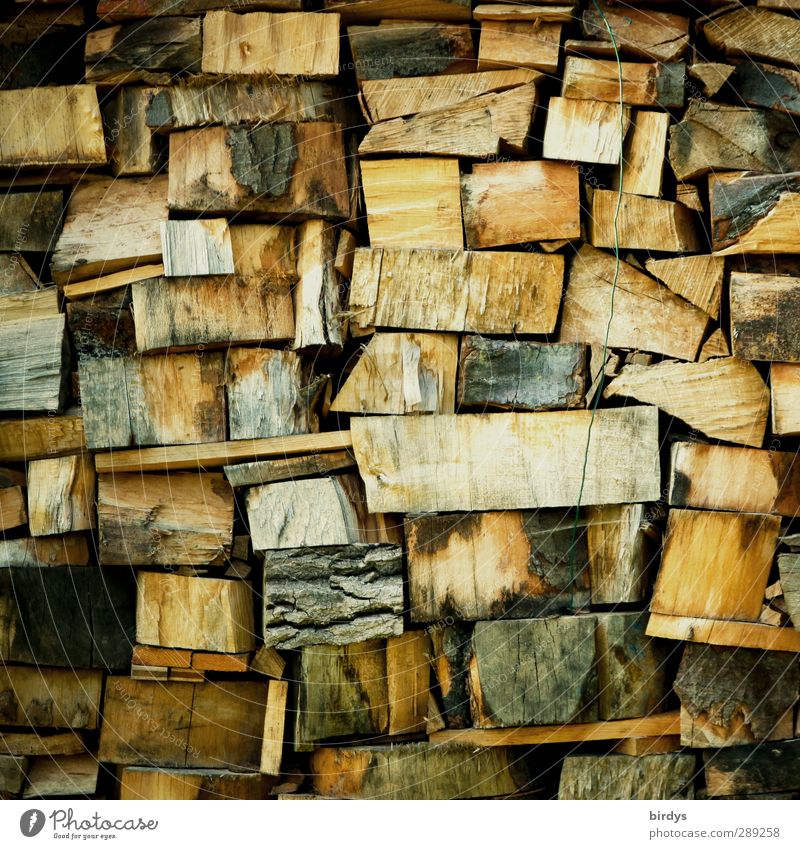 Climate Neutral Fuel Wood Authentic Sustainability Natural Positive Warmth Energy Firewood Stack of wood Many Colour photo Exterior shot Deserted