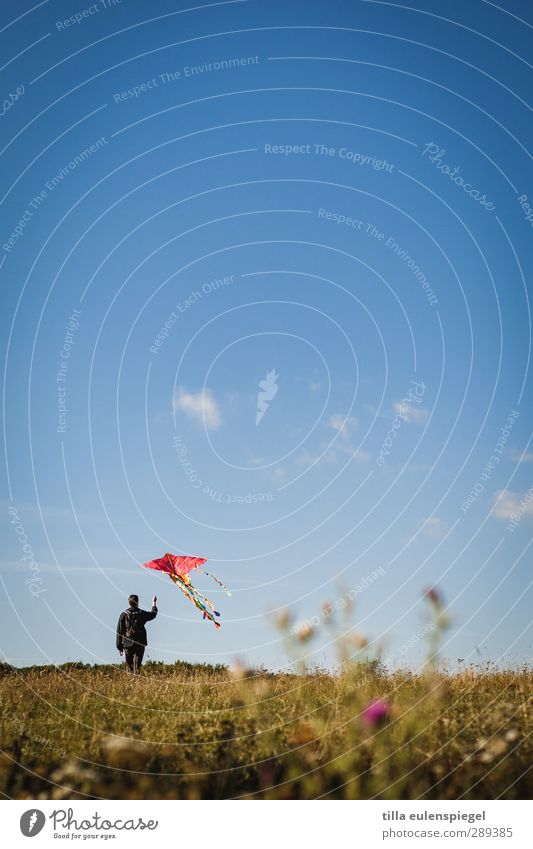 A climber. Leisure and hobbies Masculine Man Adults 1 Human being Sky Meadow Flying Stand Blue Infancy Kite Go up Departure Clouds Horizon Colour photo