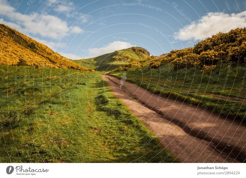 Way to Arthur's Seat in Edinburgh Vacation & Travel Freedom Hiking Environment Nature Landscape Plant Spring Bushes Esthetic Great Britain Scotland