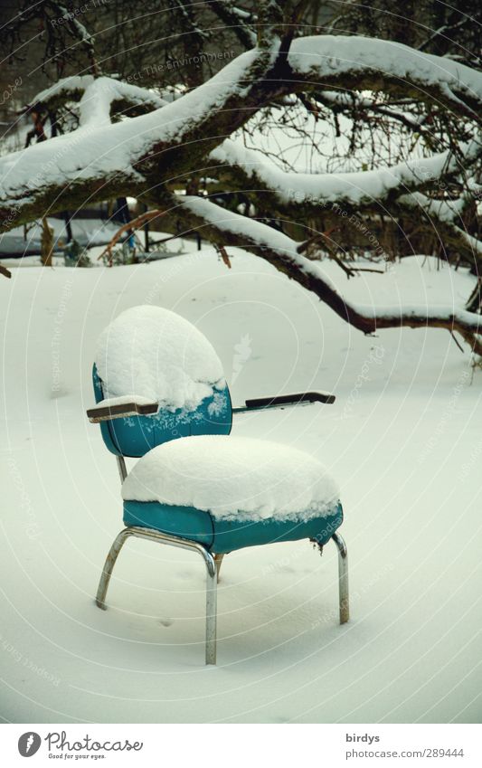 Winter | cool upholstery Furniture Armchair Chair Ice Frost Snow Tree Wait Exceptional Cold Positive Blue White Patient Calm Hope Design Frustration Serene