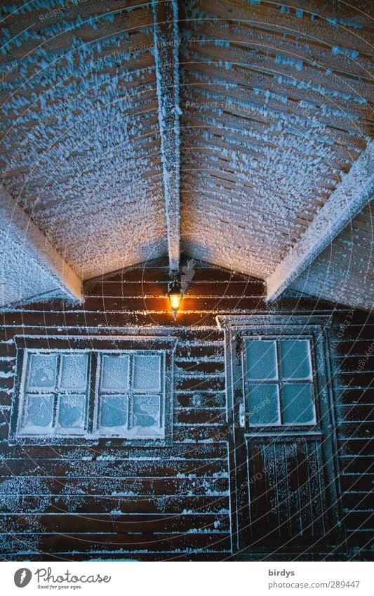 Winter, let's go inside. Alpine hut Wooden house Ice Frost Snow Hut Terrace Window Door Canopy Lamplight Illuminate Cold Original Anticipation
