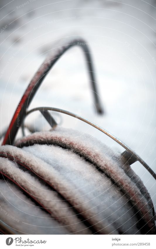 winter Gardening Deserted Garden hose hose cart Coil Cold Change coiled Frozen snowed over Snow Motionless Colour photo Subdued colour Exterior shot Close-up