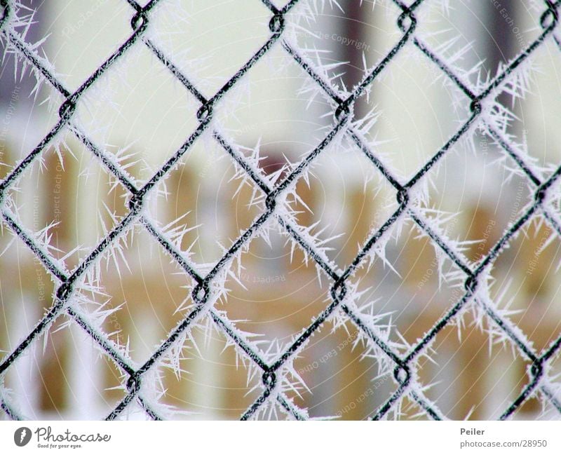 Crystal Winter Poetry Fence Wire netting Cold Ice crystal Grating Freeze Depth of field Blur Clink Frozen Reticular White Black Crystal structure Snow