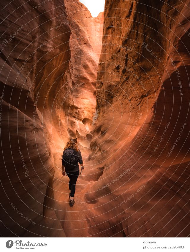 Into the unknown Hiking Feminine Young woman Youth (Young adults) 1 Human being Nature Landscape Earth Sand Drought Rock Canyon Desert Hiking boots Red-haired