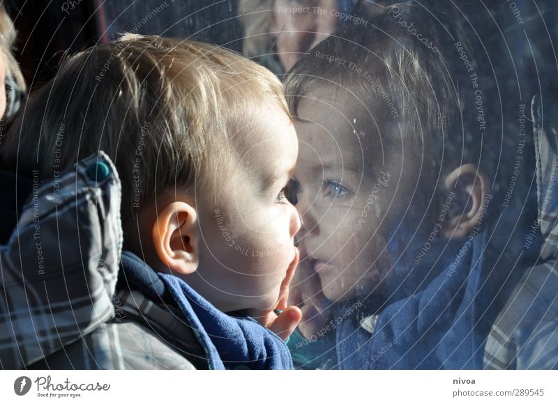 Toddler is reflected in the window Human being Masculine Child Boy (child) Head Hair and hairstyles Eyes Ear Nose 1 1 - 3 years Environment Landscape Sun