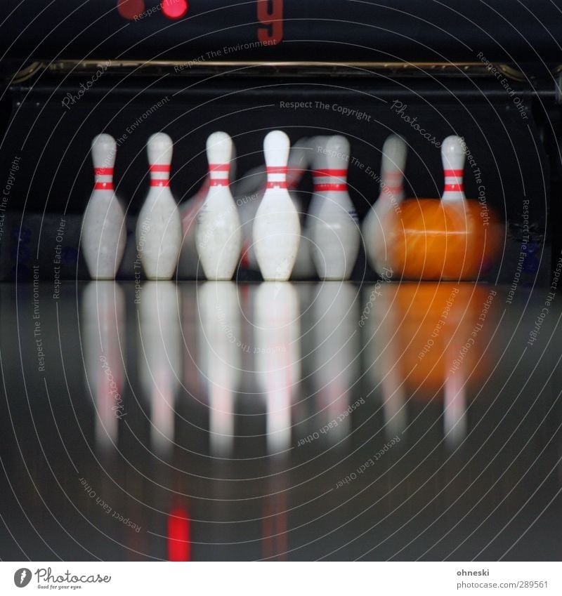 bowling Leisure and hobbies Playing Nine-pin bowling Sports Bowling Bowling alley Bowling ball Skittle Movement Happy Colour photo Interior shot