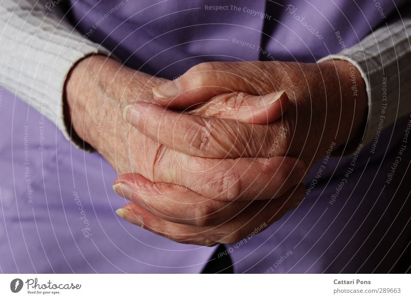 Folded hands Feminine Female senior Woman Grandmother Senior citizen Life 60 years and older Sweater Cloth Apron Touch Make Old Thin Near Fingernail Fingers