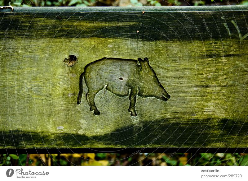 wild Furniture Art Autumn Animal Wild animal 1 Joy Seasons Autumn leaves October Bench Chair back Relief Wild boar Male boar carving art Woodcut Carving