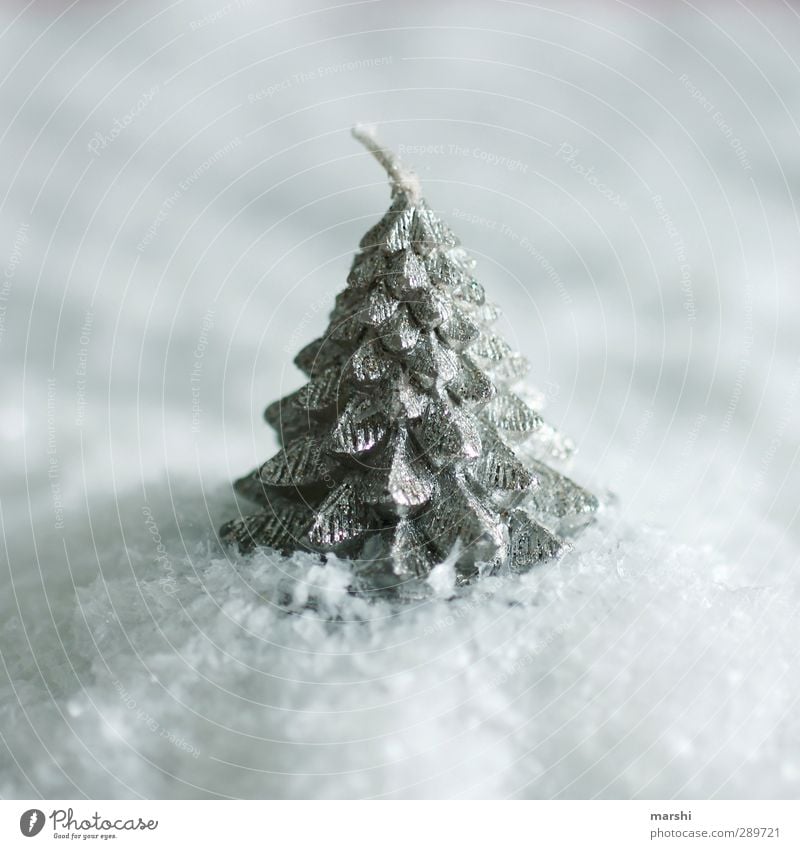 White Christmas Winter Tree Christmas & Advent Snowfall Candle Exterior shot Close-up Detail