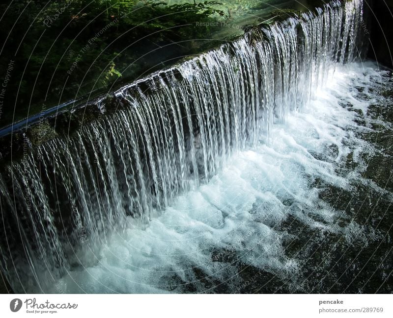 Excess unstoppable. Nature Elements Water Spring Climate Climate change Brook Waterfall Moody Humanity Inhibition Marvel Surplus Colour photo Exterior shot Day