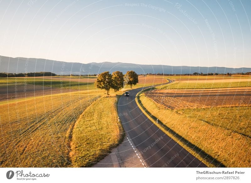 Swiss Sunset Environment Nature Landscape Blue Brown Yellow Green Orange Black Street Tree Shadow Light Field Car Agriculture Colour photo Copy Space top