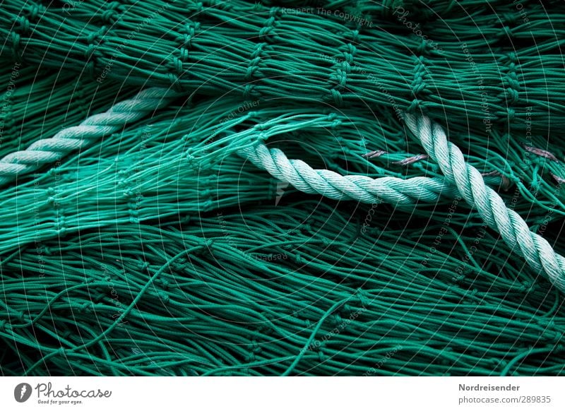 green Work and employment Profession Net Green Network Arrangement Planning Fishery Fishing net Rope Background picture Structures and shapes Colour photo