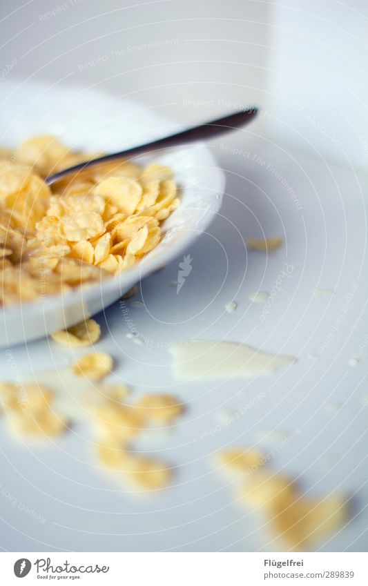 A good start to the day Milk Eating Cornflakes Spill Adversity Spoon Bowl Kitchen Table Breakfast Cereal Healthy Clumsy Daub Colour photo Subdued colour