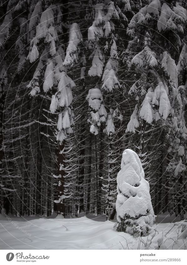 what you want Woman Adults Work of art Sculpture Elements Winter Snow Forest Uniqueness Serene Art Perspective Senses Whimsical Statue Monument Virgin Mary