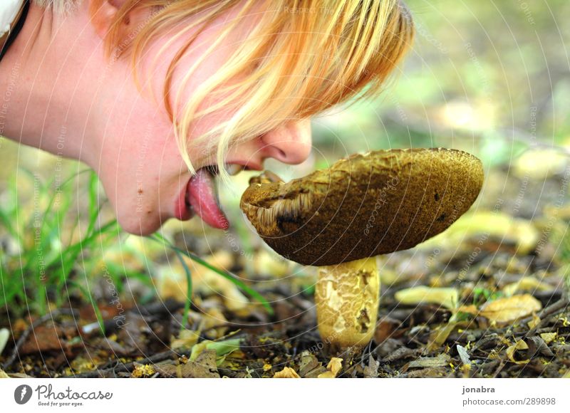 Mushrooms, yummy! Mushroom picker Eating Feminine Youth (Young adults) Face Tongue 1 Human being 13 - 18 years Child Nature Plant Animal Earth Autumn Grass