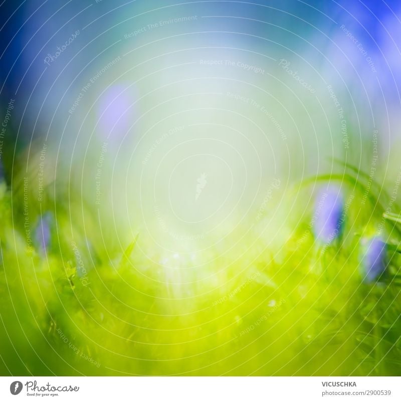 Background with green grass - a Royalty Free Stock Photo from Photocase