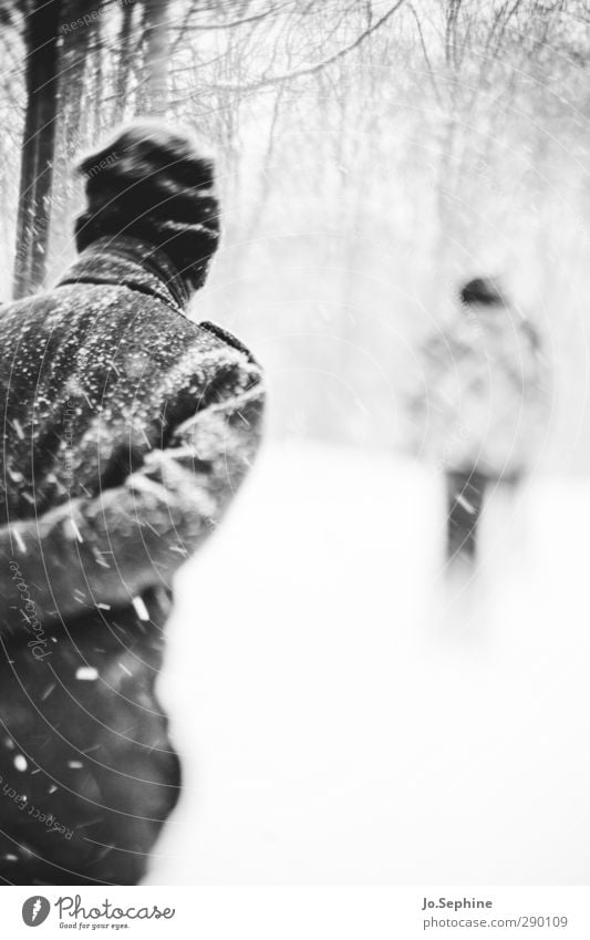 cold Winter Snowfall Snowstorm Weather Human being Seasons To go for a walk Forest Coat Cap Going Walking Cold lensbaby Black & white photo Exterior shot Day