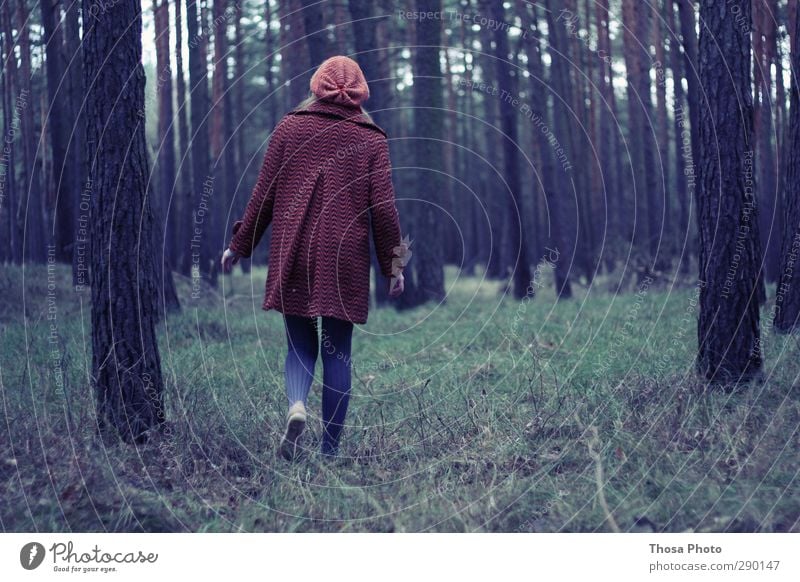 Little Red Riding Hood in the Forest Winter Hiking Poverty Beautiful Green Grass Loneliness Tree Cap Coat Freedom Wild Tights Blue Going To go for a walk