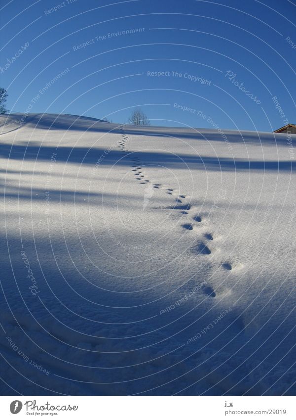 Tracks in the snow Winter Hill Winter's day Slope Cold Mountain Snow reither kogel tyrol white Lanes & trails