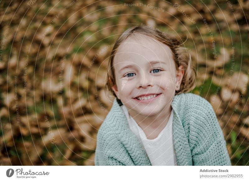 Smiling girl between meadow with dry leaves Girl Meadow Leaf Dry Child Positive Field Nature Beautiful Woman Infancy Freedom Park Happiness Joy Lifestyle Rural