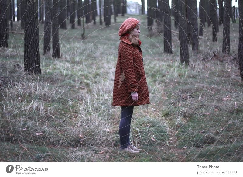 Little Red Riding Hood Body Hiking Loser Environment Nature Looking Stand Dream Sadness Wait Free Fashion Forest Tights Cap Coat Green Gray Grass Blonde trees
