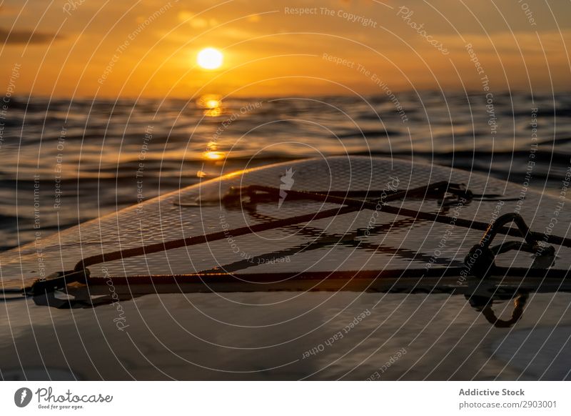 Sunset over sea from paddleboard Ocean Sky Evening Leisure and hobbies Relaxation Vantage point Water Nature Sports Deserted Equipment Wet Ripple Dusk Twilight