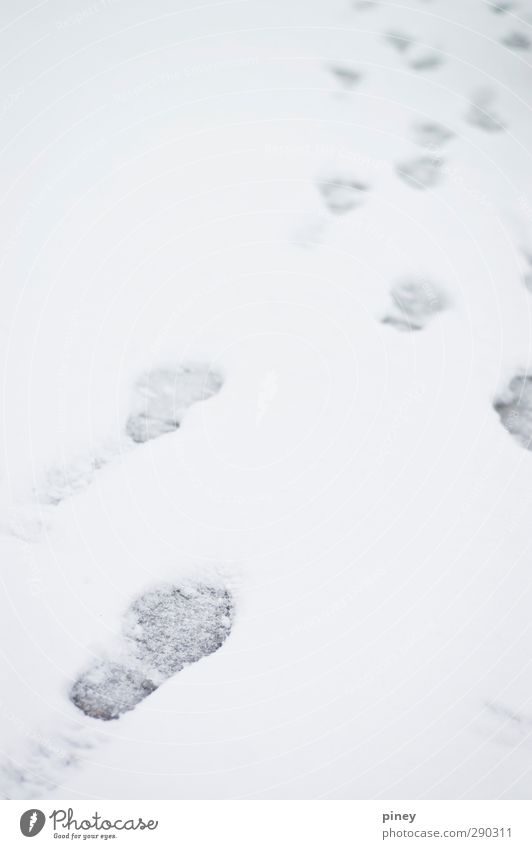 follow Winter Snow Snowfall Cold Gray White footprint lead shoe driveway Colour photo Subdued colour Close-up Deserted Shallow depth of field
