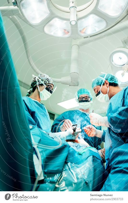 Team of Surgeons Operating. Operation Surgery operating surgical Hospital Room Doctor Theatre Medication Work and employment Group instrumental clinic Man Woman
