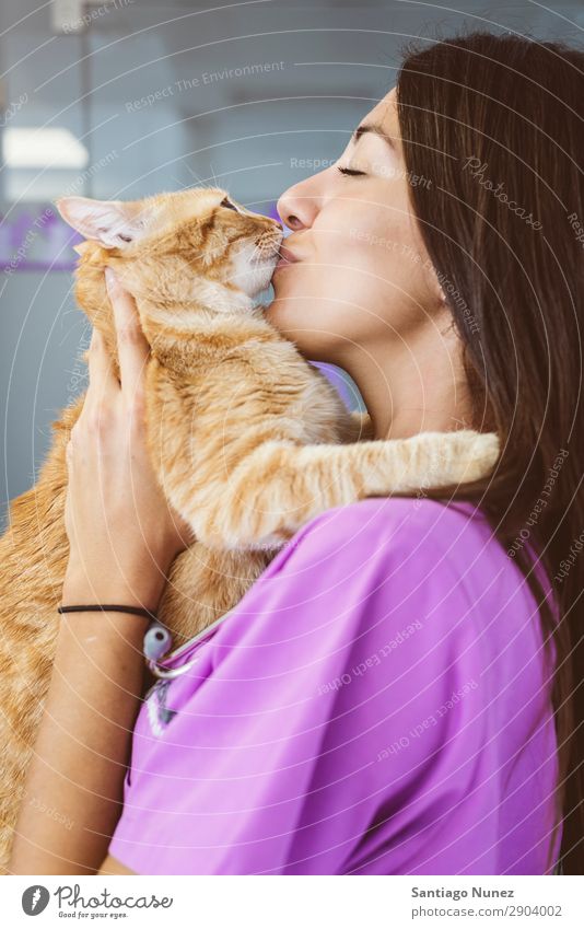 Veterinarian doctor kissing a little cat. Cat veterinary clinic Animal Doctor Nurse Healthy Pet Uniform Professional Work and employment