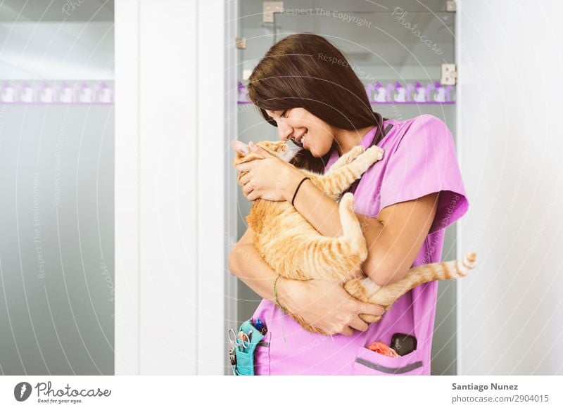 Veterinarian doctor hugging a little cat. Cat veterinary clinic Animal Doctor Nurse Healthy Pet Uniform Professional Work and employment