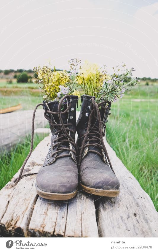 Old boots filled with flowers Lifestyle Style Garden Environment Nature Plant Spring Summer Flower Grass Blossom Wild plant Pot plant Boots Wood Fresh Cheap