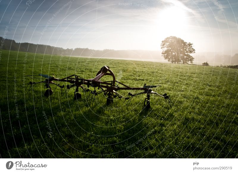 rotary tedder Agricultural machine Agriculture Environment Sun Summer Autumn Beautiful weather Tree Meadow Field Metal Fresh Bright Sustainability Rural