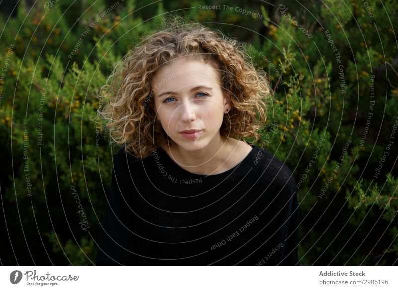 Young woman near dry twigs of bushes Woman Bushes Twig Attractive Plant Youth (Young adults) Branch Charming Dry Nature Lifestyle Summer Curly