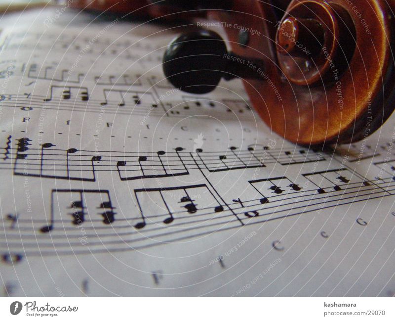Violin Game I Music Musical notes Wood Brown Viola Song Classical Musical instrument string Make music Colour photo Interior shot Detail Deserted