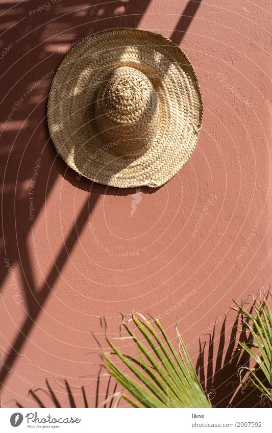 shade provider Straw hat Hat Wall (building) Palm tree Light Shadow Morocco