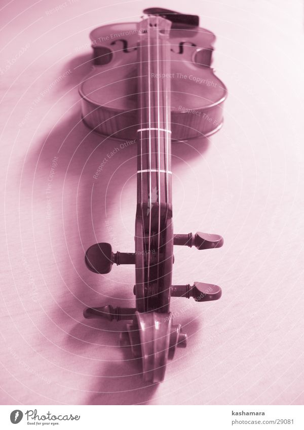Pink Violin I Playing Music Concert Orchestra Musical notes Wood Violet Deserted