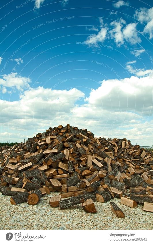 Stack of freshly cut trees on blue sku background Industry Nature Sky Tree Forest Paper Wood Natural Blue Brown End Timber Log Accumulation Cut wooden