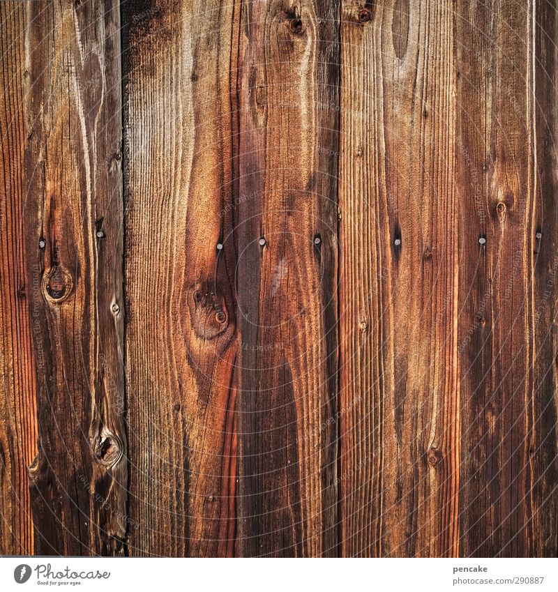 full of the board Hut Wall (barrier) Wall (building) Wood Near Naked Wooden wall Texture of wood Wood grain Nail Wooden board Wooden hut Colour photo