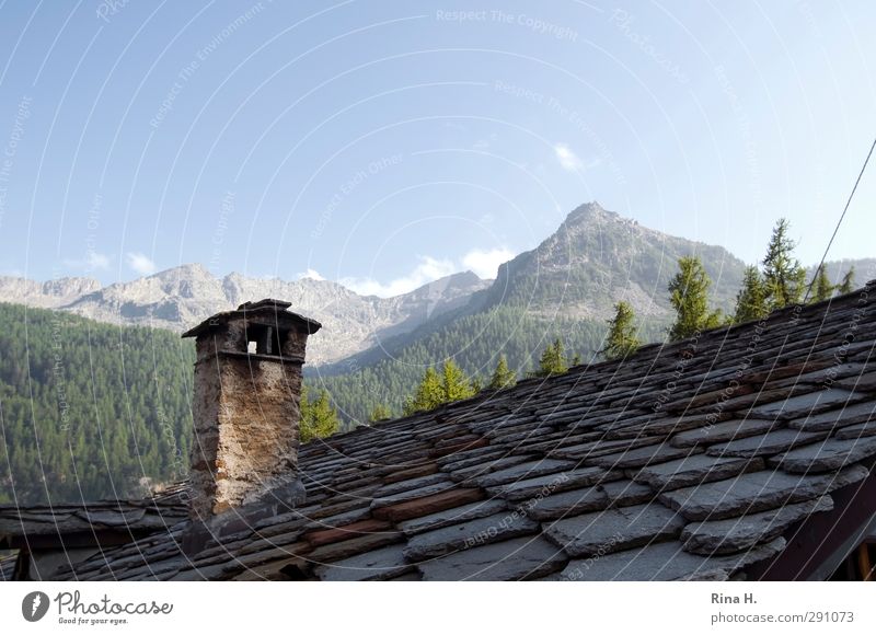 Western Alps Nature Landscape Summer Beautiful weather Forest Mountain Peak Piedmont Italy House (Residential Structure) Building Roof Natural Rustic Chimney