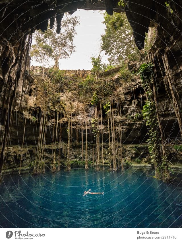 Cenote, Yucatan Feminine Environment Nature Plant Water Summer Foliage plant Virgin forest Canyon Pond Lake Oasis To enjoy Adventure Discover Relaxation
